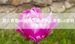 怎么查看wifi密码手机（怎么查看wifi密码手机上）