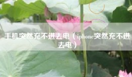 手机突然充不进去电（iphone突然充不进去电）