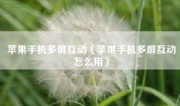 苹果手机多屏互动（苹果手机多屏互动怎么用）