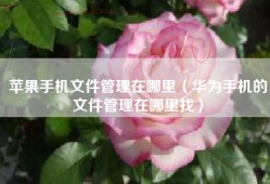 苹果手机文件管理在哪里（华为手机的文件管理在哪里找）