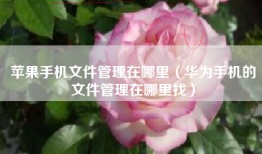 苹果手机文件管理在哪里（华为手机的文件管理在哪里找）
