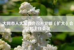 大同市人大常委会召开党组（扩大）会议和主任会议