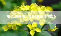 鬼泣5手机版（鬼泣5手机版下载）