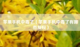 苹果手机中毒了（苹果手机中毒了有哪些反应）