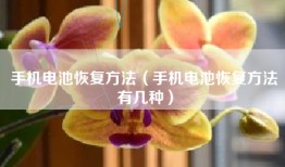 手机电池恢复方法（手机电池恢复方法有几种）