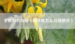 手机照片压缩（用手机怎么压缩照片）