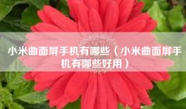 小米曲面屏手机有哪些（小米曲面屏手机有哪些好用）