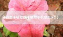 锁屏手机壁纸（锁屏手机壁纸2023）