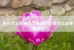 手机买火车票（手机买火车票怎么退票退款）