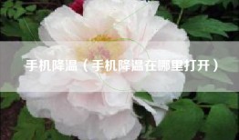 手机降温（手机降温在哪里打开）