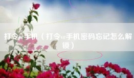 打令vr手机（打令vr手机密码忘记怎么解锁）