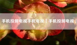 手机投屏电视手机电视「手机投屏电视」
