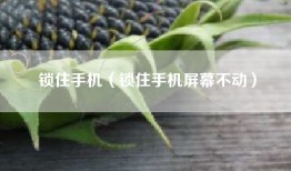 锁住手机（锁住手机屏幕不动）