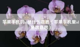 苹果手机的id是什么意思（苹果手机里id是啥意思）