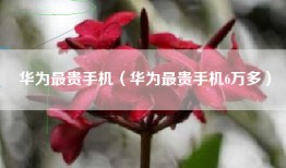 华为最贵手机（华为最贵手机6万多）