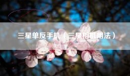 三星单反手机（三星相机用法）