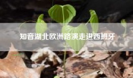 知音湖北欧洲路演走进西班牙