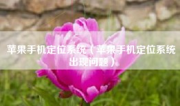 苹果手机定位系统（苹果手机定位系统出现问题）