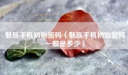 魅族手机初始密码（魅族手机初始密码一般是多少）