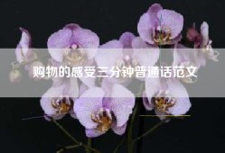 购物的感受三分钟普通话范文