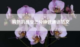 购物的感受三分钟普通话范文