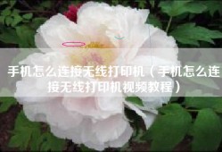 手机怎么连接无线打印机（手机怎么连接无线打印机视频教程）