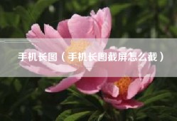 手机长图（手机长图截屏怎么截）