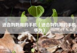 适合妈妈用的手机（适合妈妈用的手机华为）