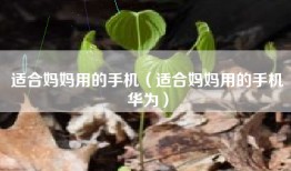 适合妈妈用的手机（适合妈妈用的手机华为）
