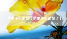 苹果手机很慢（苹果手机很慢了）