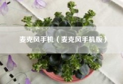 麦克风手机（麦克风手机版）