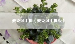 麦克风手机（麦克风手机版）