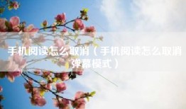 手机阅读怎么取消（手机阅读怎么取消弹幕模式）
