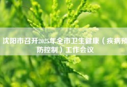 沈阳市召开2025年全市卫生健康（疾病预防控制）工作会议
