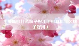 手机耳机什么牌子好（手机耳机什么牌子好用）