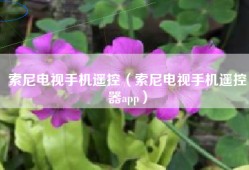 索尼电视手机遥控（索尼电视手机遥控器app）