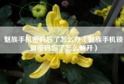 魅族手机密码忘了怎么办（魅族手机锁屏密码忘了怎么解开）