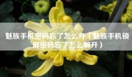 魅族手机密码忘了怎么办（魅族手机锁屏密码忘了怎么解开）
