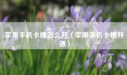 苹果手机卡槽怎么开（苹果手机卡槽开通）