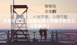 苹果手机怎么设置分屏（苹果手机怎么分屏操作）