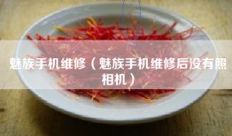 魅族手机维修（魅族手机维修后没有照相机）