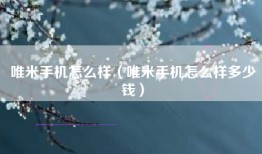 唯米手机怎么样（唯米手机怎么样多少钱）