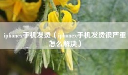 iphonex手机发烫（iphonex手机发烫很严重怎么解决）