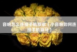 音响怎么连接手机放歌（小音响如何连接手机蓝牙）