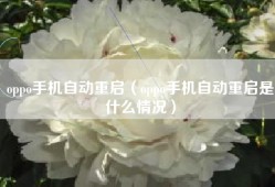 oppo手机自动重启（oppo手机自动重启是什么情况）