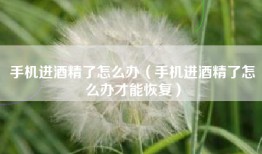 手机进酒精了怎么办（手机进酒精了怎么办才能恢复）