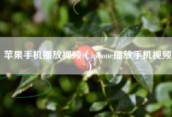 苹果手机播放视频（iphone播放手机视频）