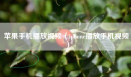 苹果手机播放视频（iphone播放手机视频）