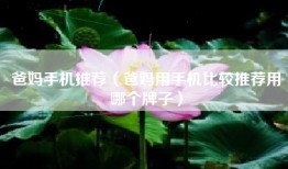 爸妈手机推荐（爸妈用手机比较推荐用哪个牌子）