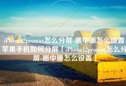 iPhone12promax怎么分屏-画中画怎么设置苹果手机如何分屏「iPhone12promax怎么分屏-画中画怎么设置」